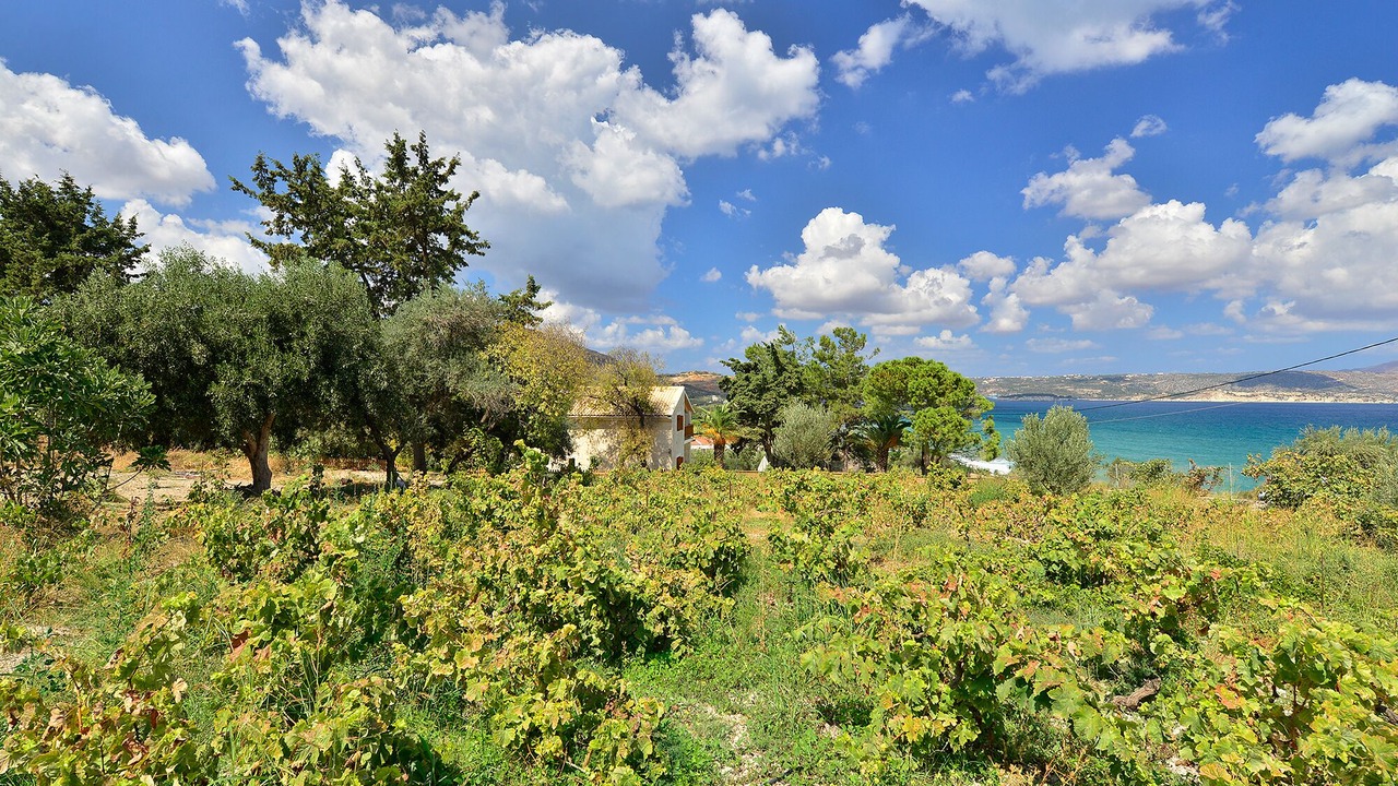Photo of Outdoor in Kalyves