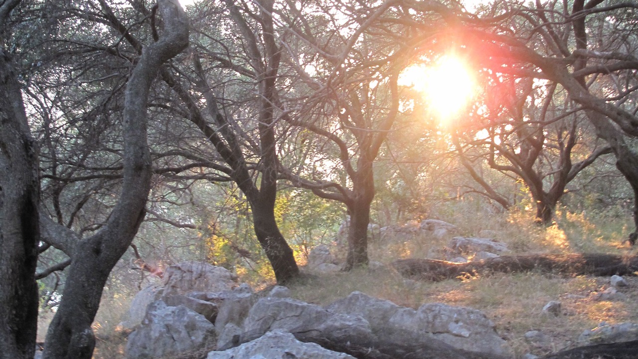 Photo of Others in Kassiopi