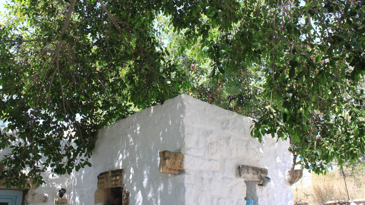 Photo of Outdoor in Alinda