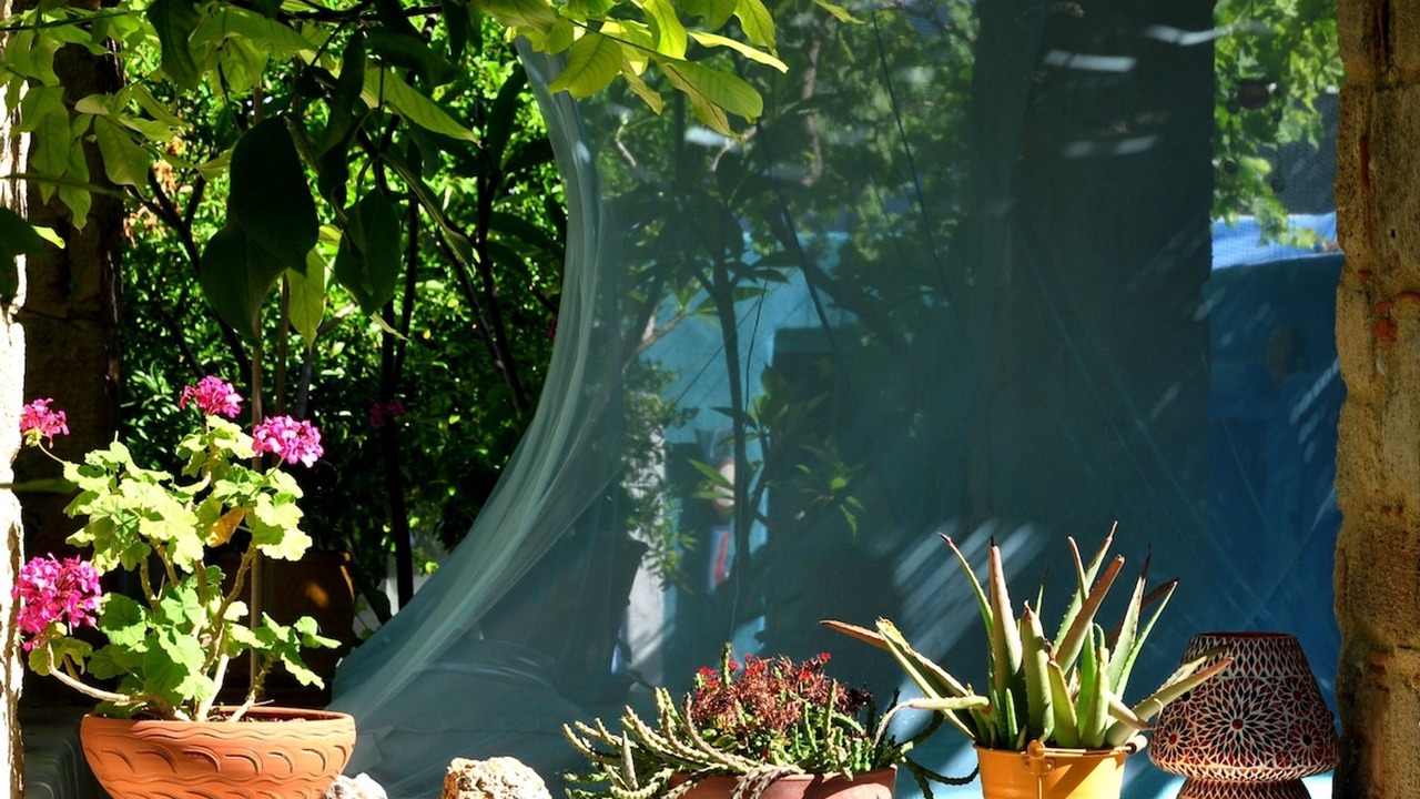 Photo of Outdoor in Koskinou