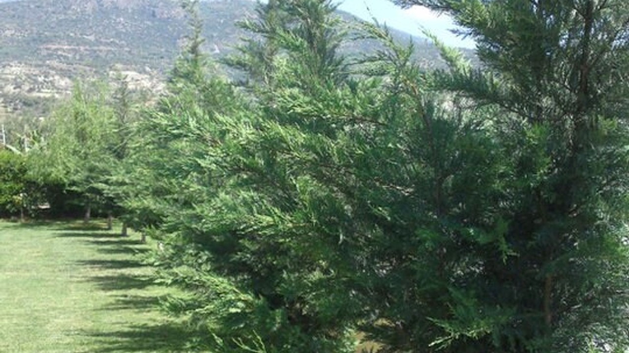 Photo of Outdoor in Myrtos