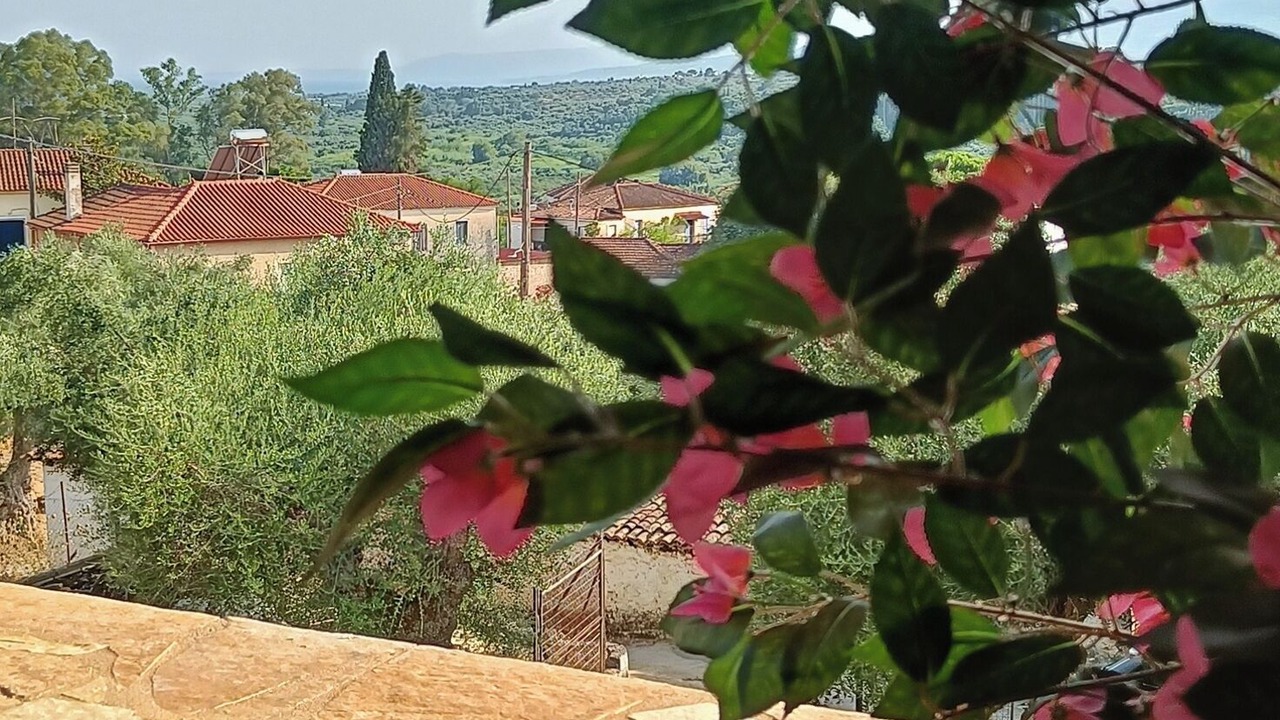 Photo of Others in Messini