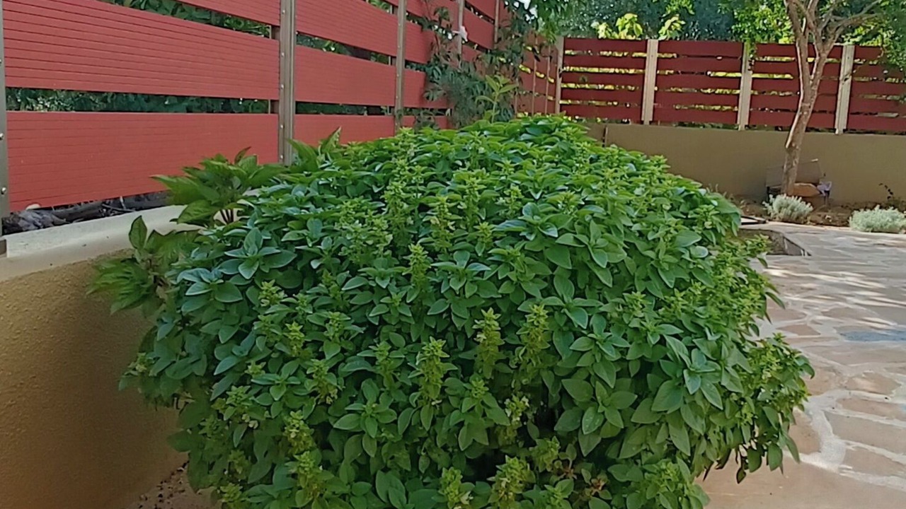 Photo of Outdoor in Messini