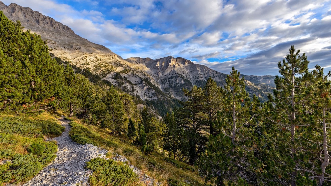 Photo of Outdoor in Elassona