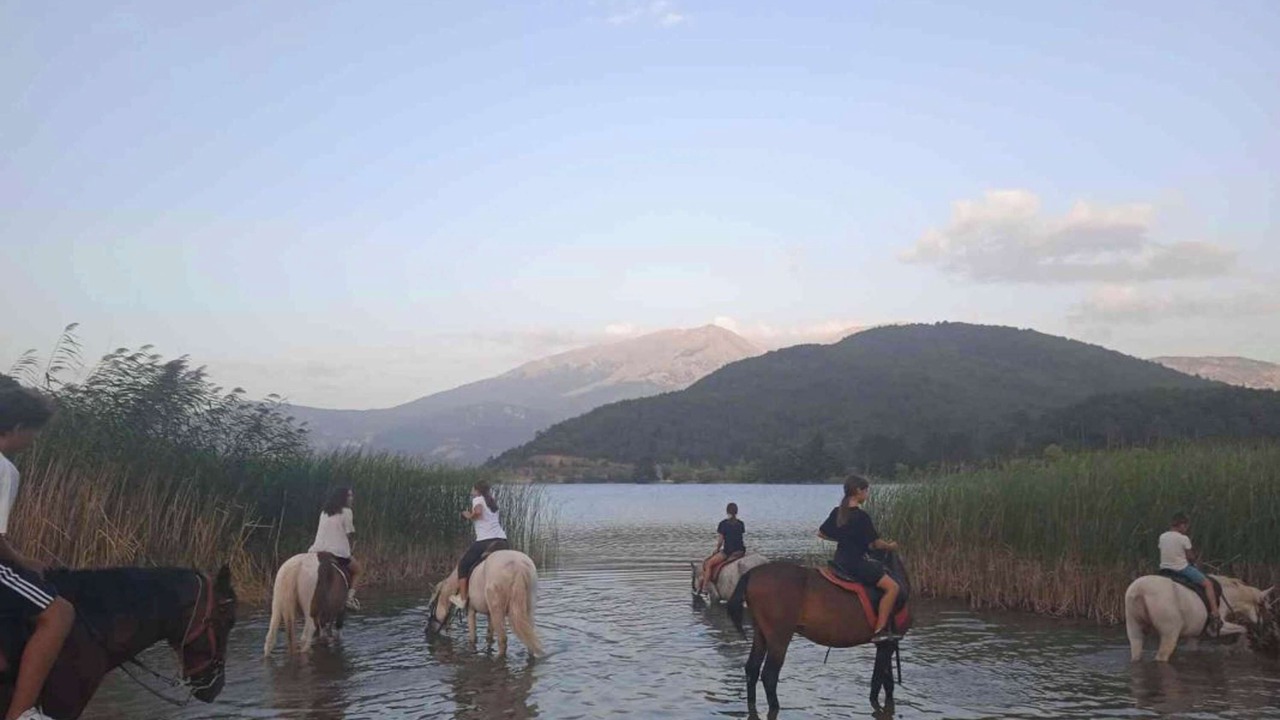 Photo of Outdoor in Goura
