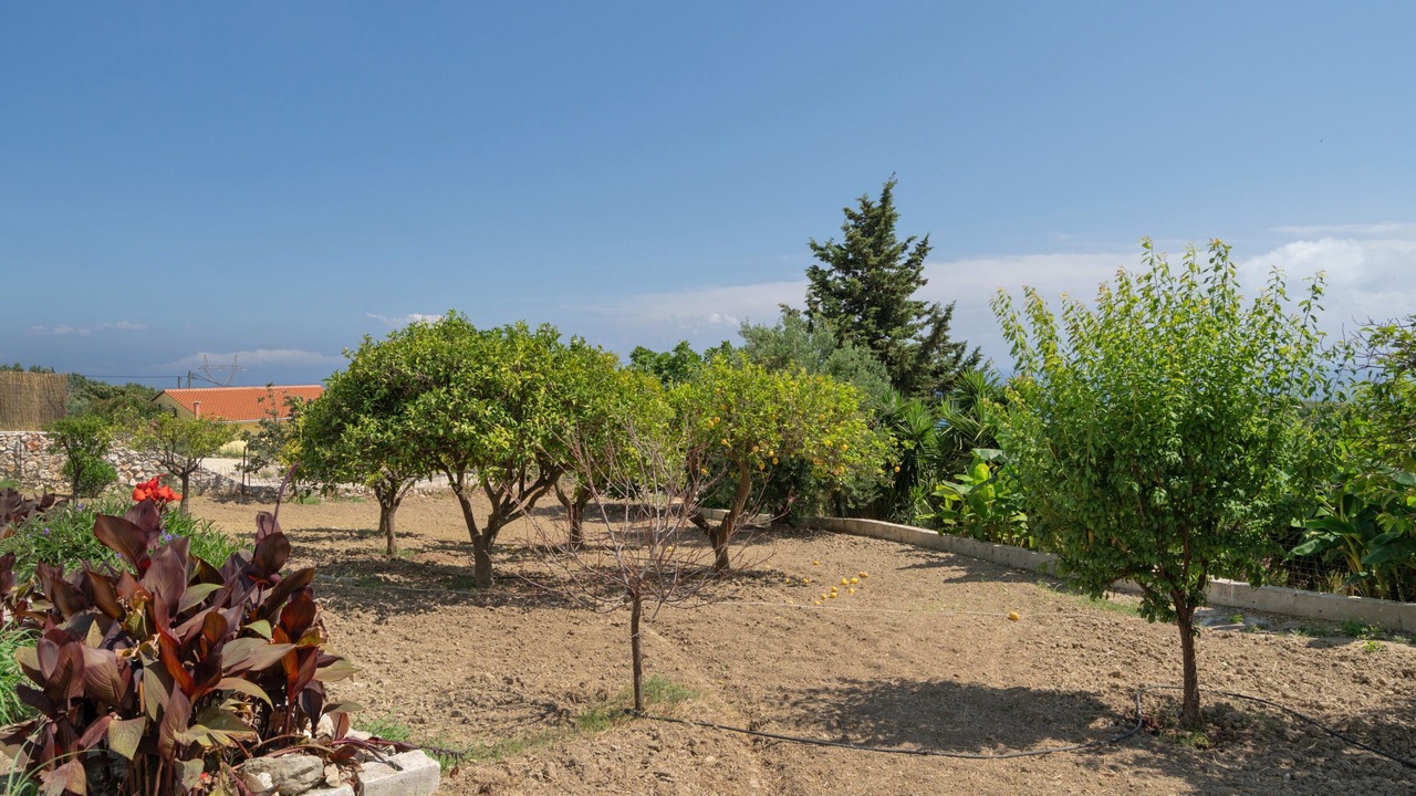 Photo of Outdoor in Eleios-Pronnoi