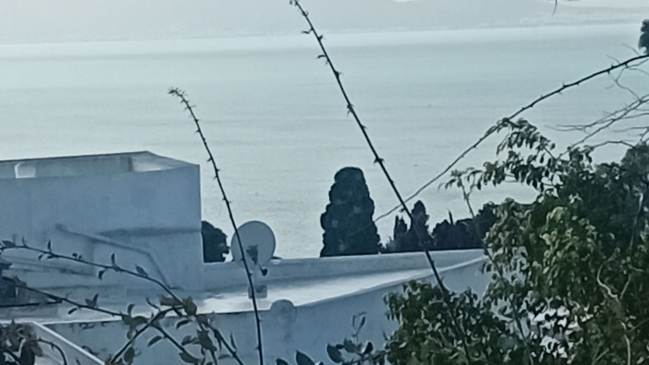 Photo of Others in Sidi Bou Said