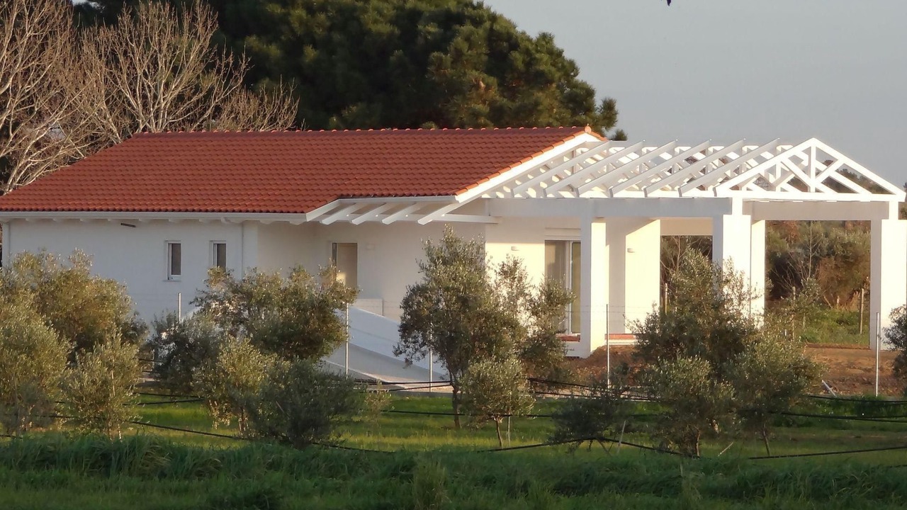 Photo of Others in Ilida