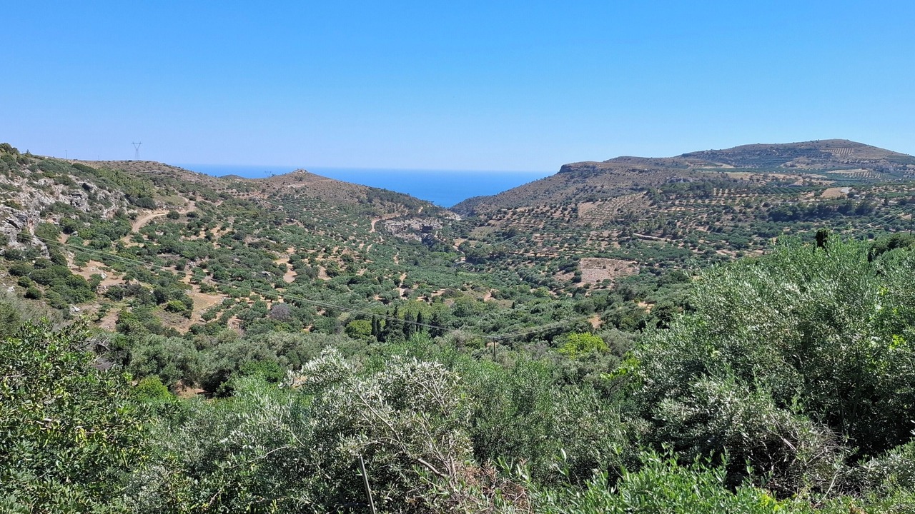 Photo of Others in Pilalimata