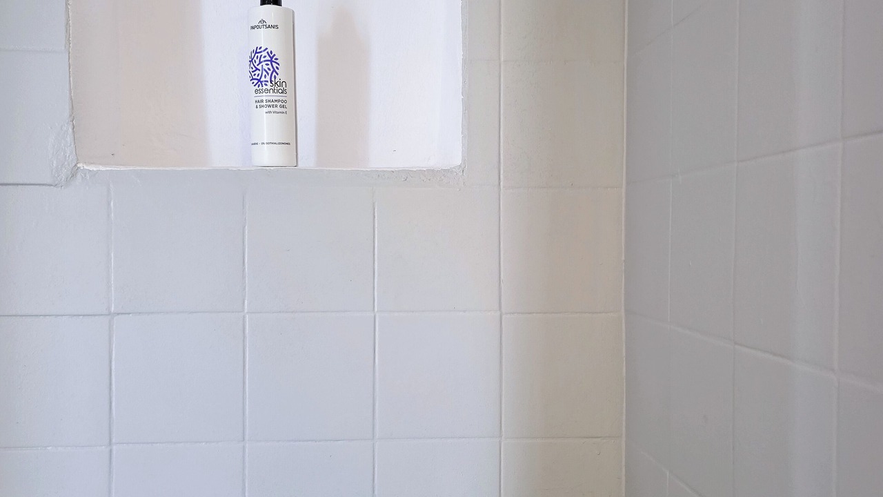 Photo of Bathroom in Messaria