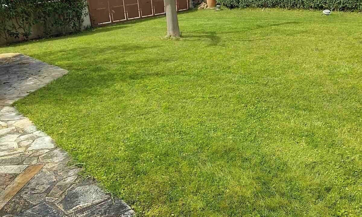 Photo of Outdoor in Longos