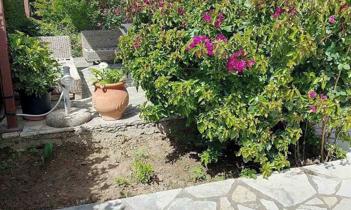 Photo of Outdoor in Longos