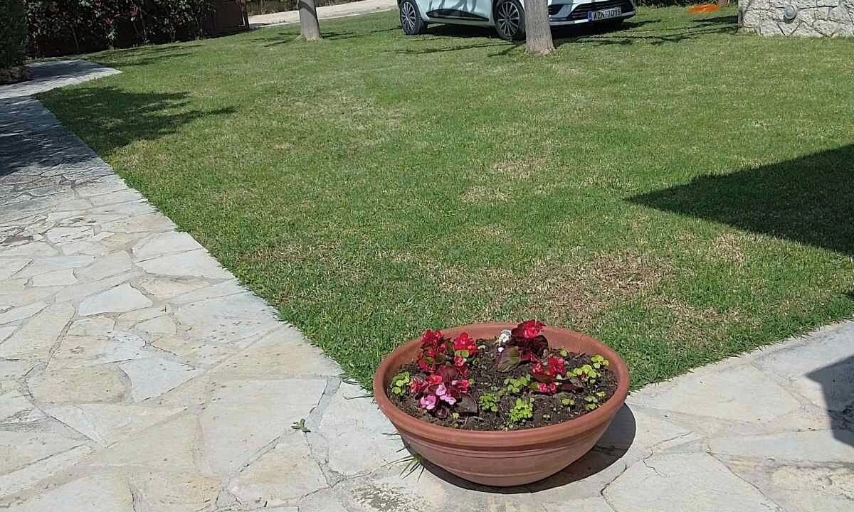Photo of Outdoor in Longos