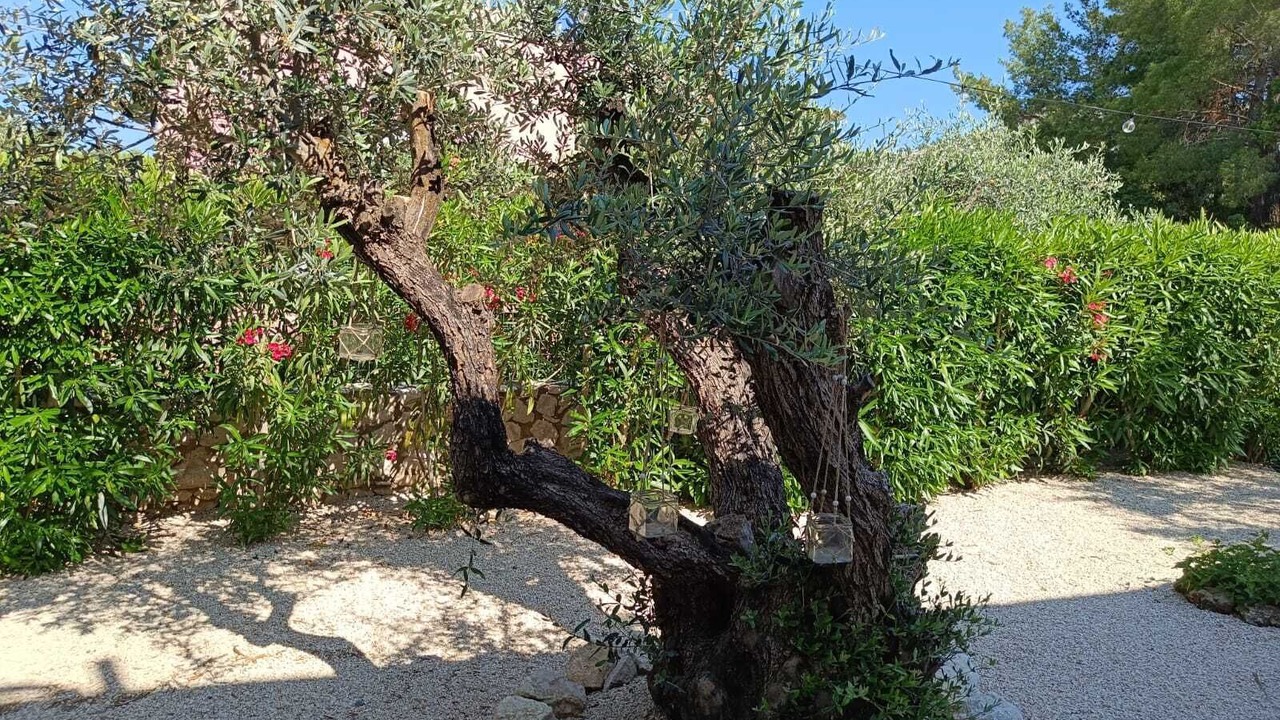 Photo of Outdoor in Lindos