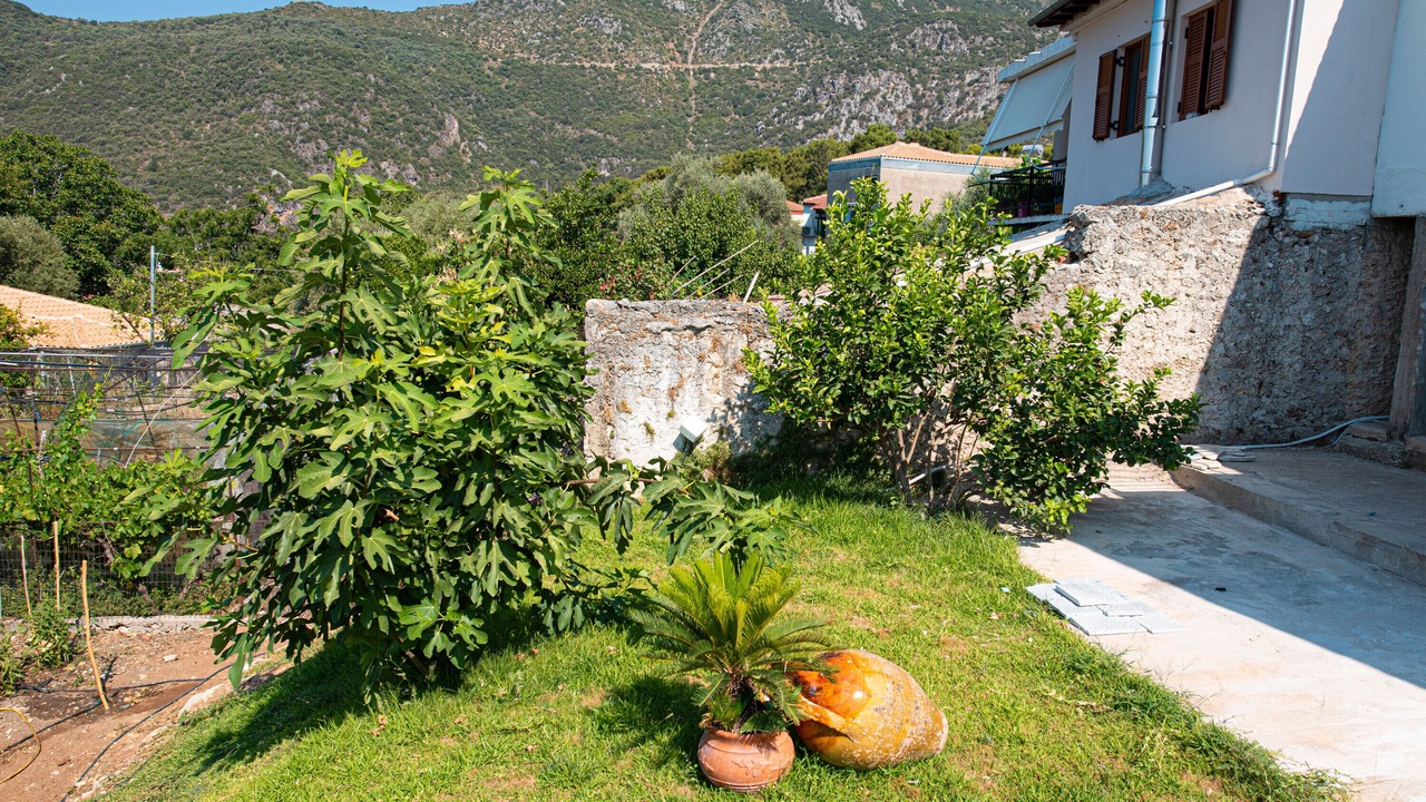 Photo of Outdoor in Vournikas
