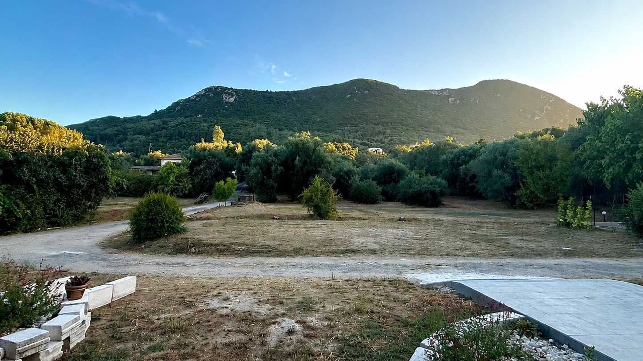 Photo of Outdoor in Parelia