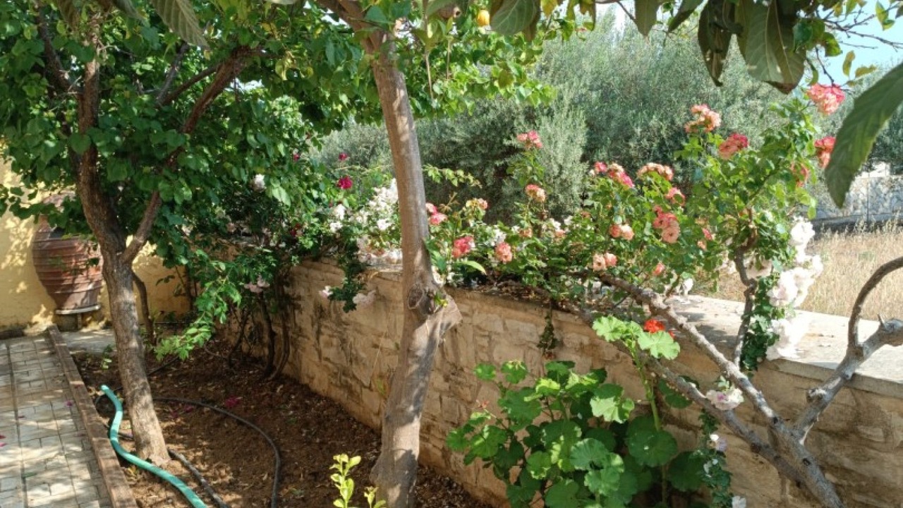 Photo of Outdoor in Kappariana