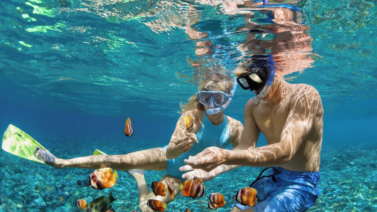Photo of Others in Agia Efimia