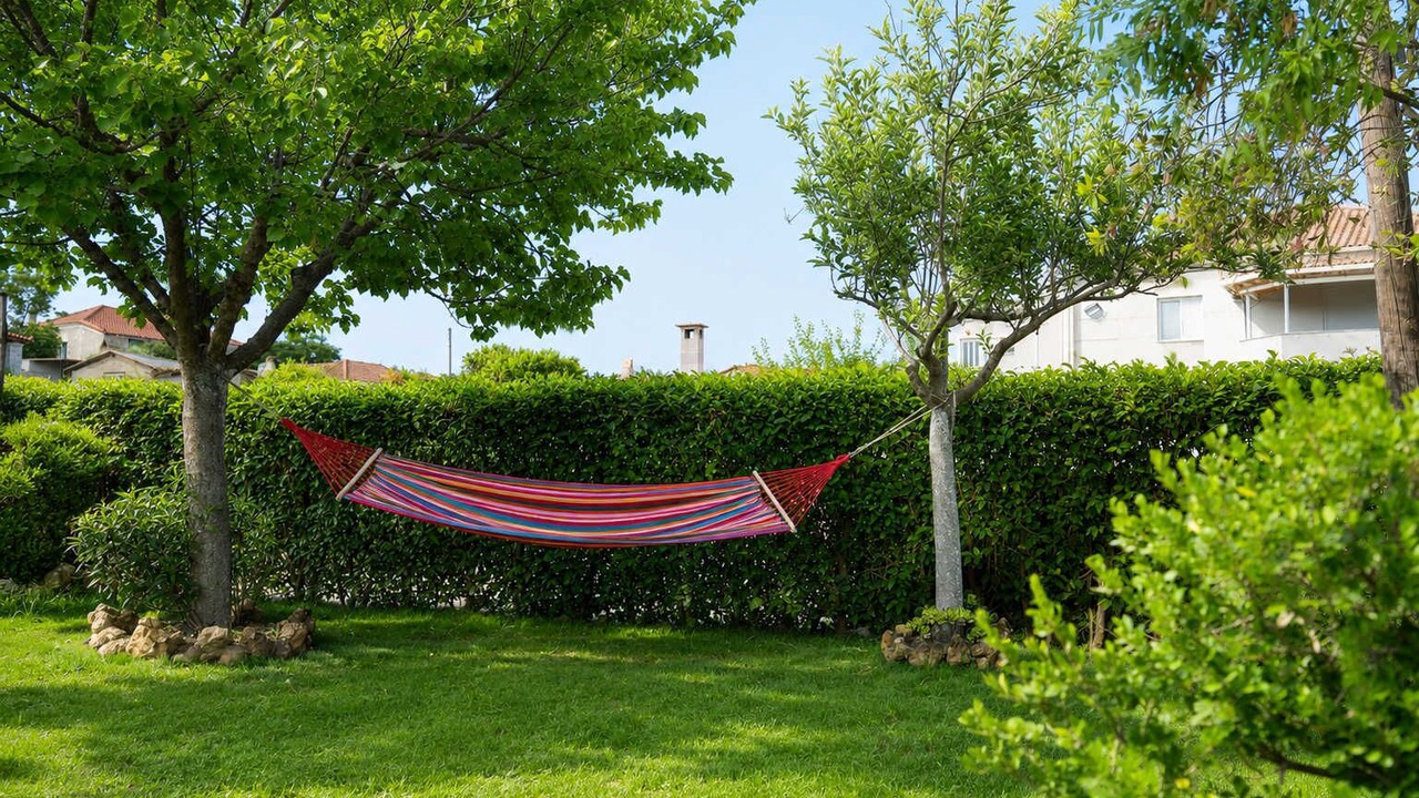 Photo of Outdoor in Valira