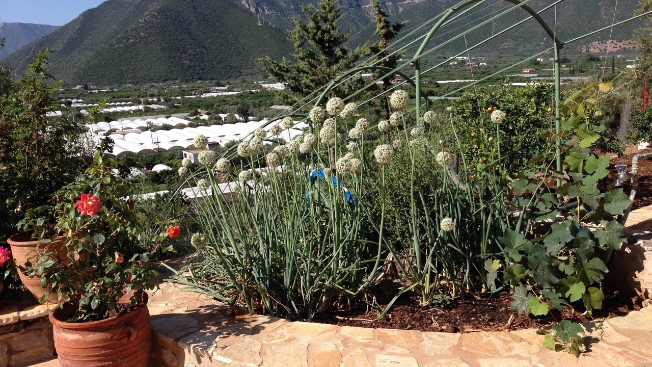 Photo of Outdoor in Leonidio