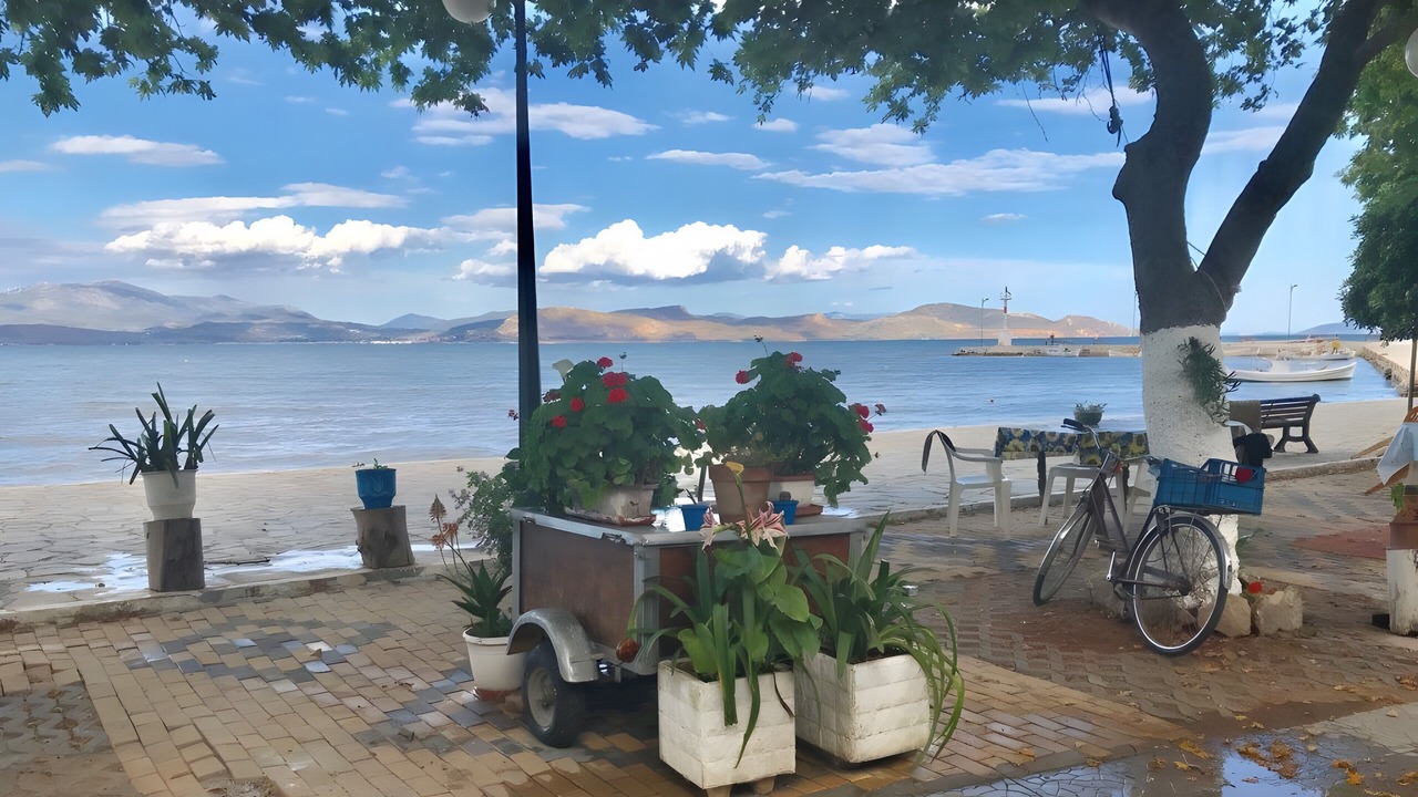 Photo of Outdoor in Mili