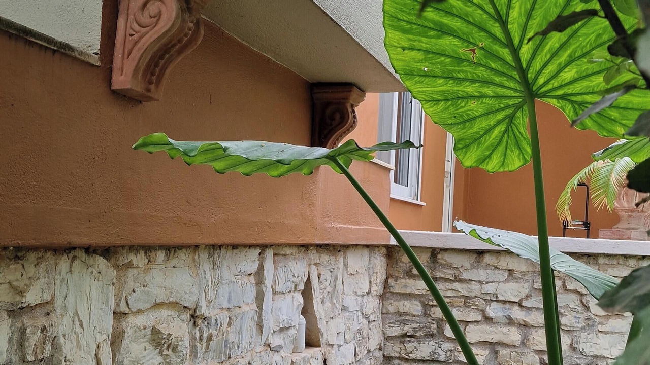 Photo of Outdoor in Nea Makri
