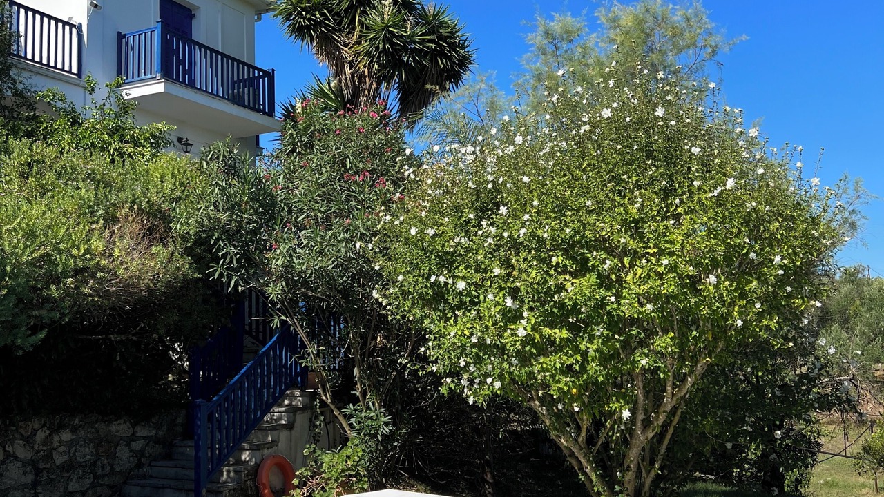Photo of Outdoor in Psarou