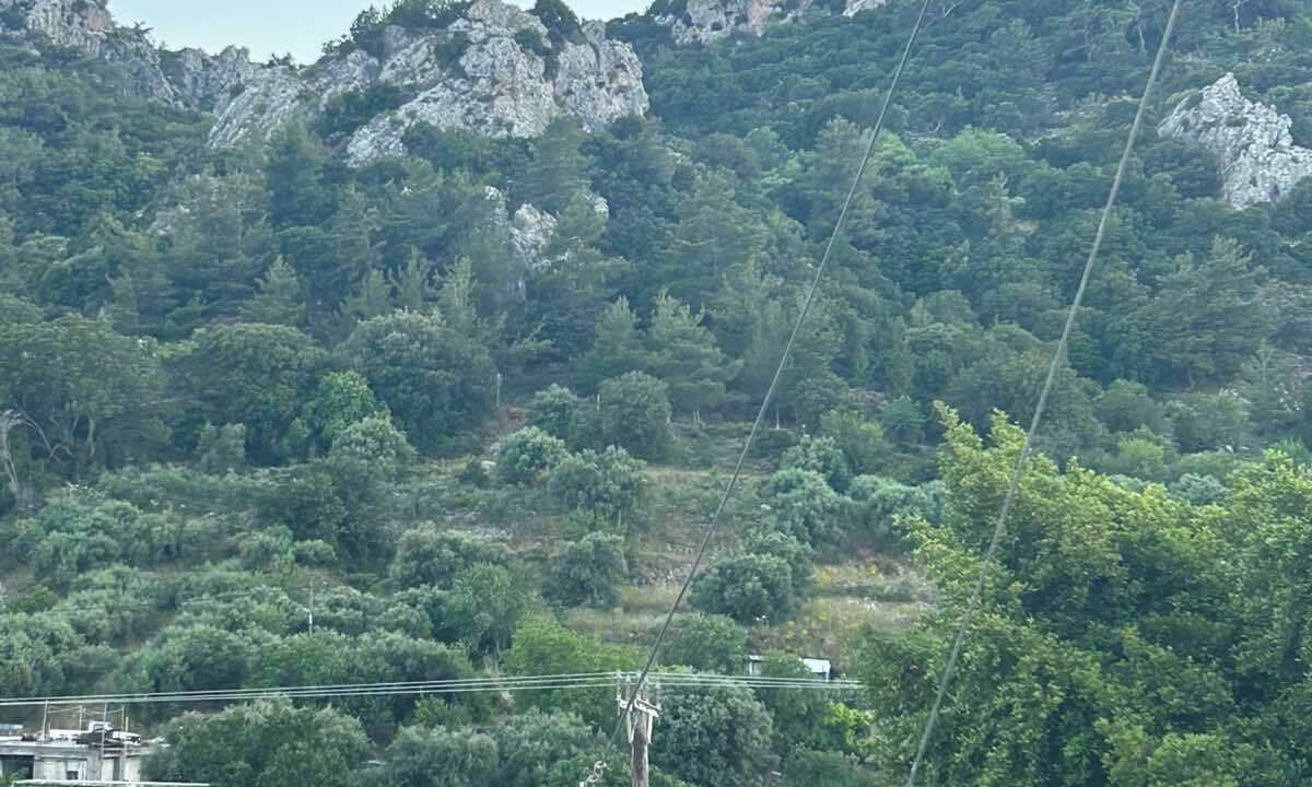 Photo of Others in Lassithi Prefecture
