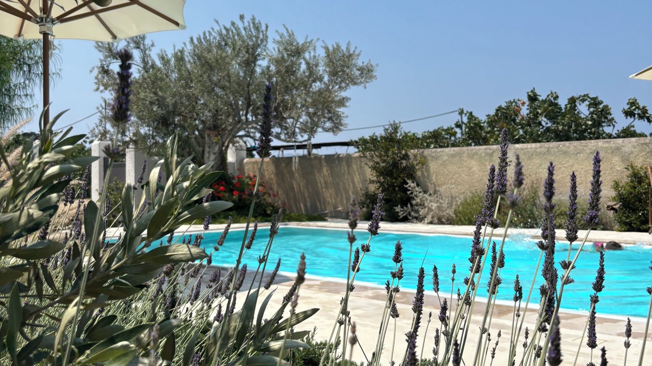 Photo of Outdoor in Aegina