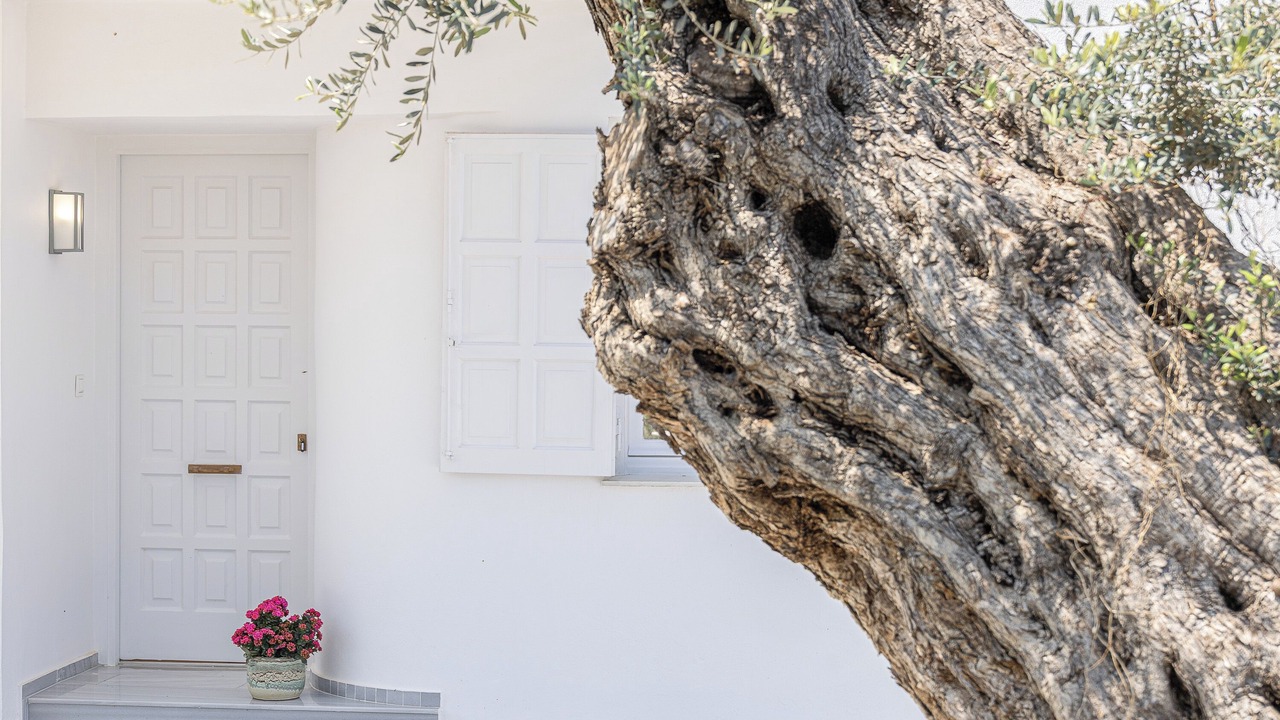 Photo of Outdoor in Rethymno