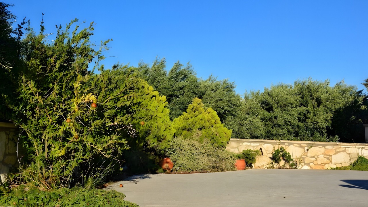 Photo of Outdoor in Goudhouros