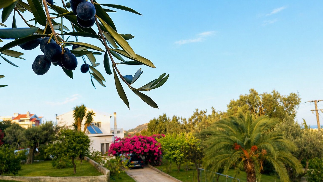 Photo of Outdoor in Kalithies