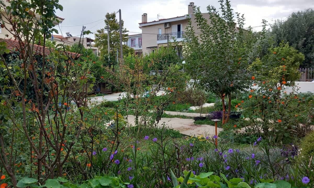 Photo of Outdoor in Paiania