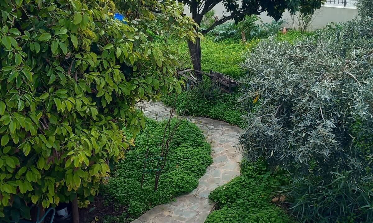Photo of Outdoor in Paiania