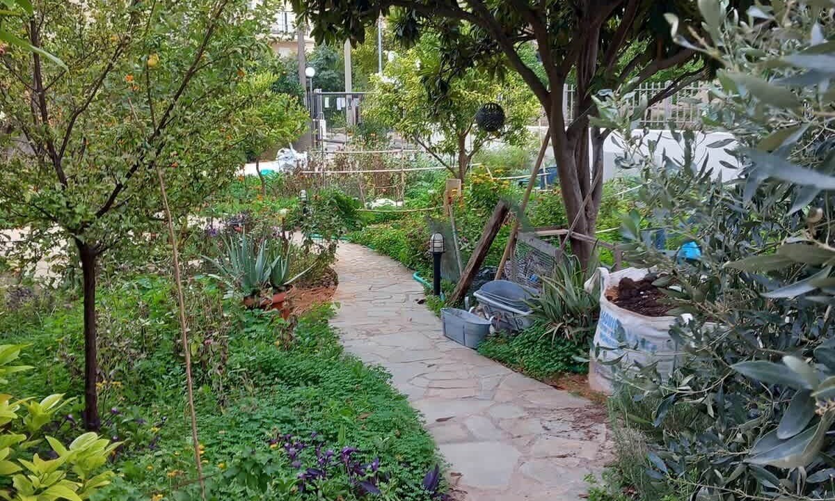 Photo of Outdoor in Paiania