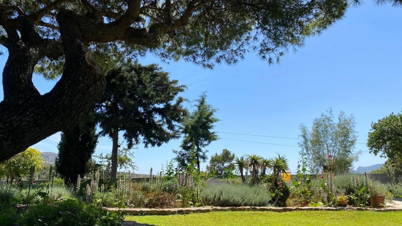 Photo of Outdoor in Porto Rafti