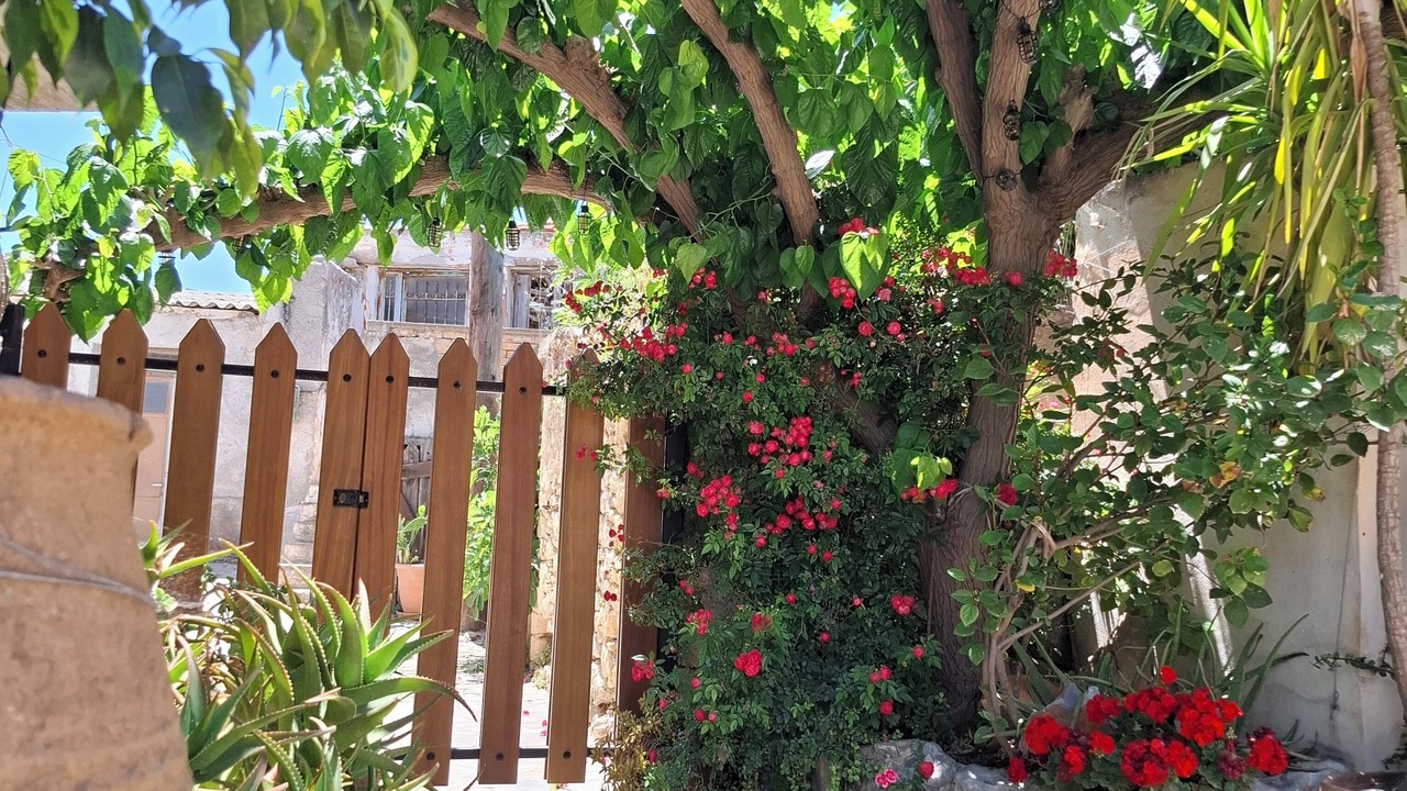 Photo of Outdoor in Episkopi