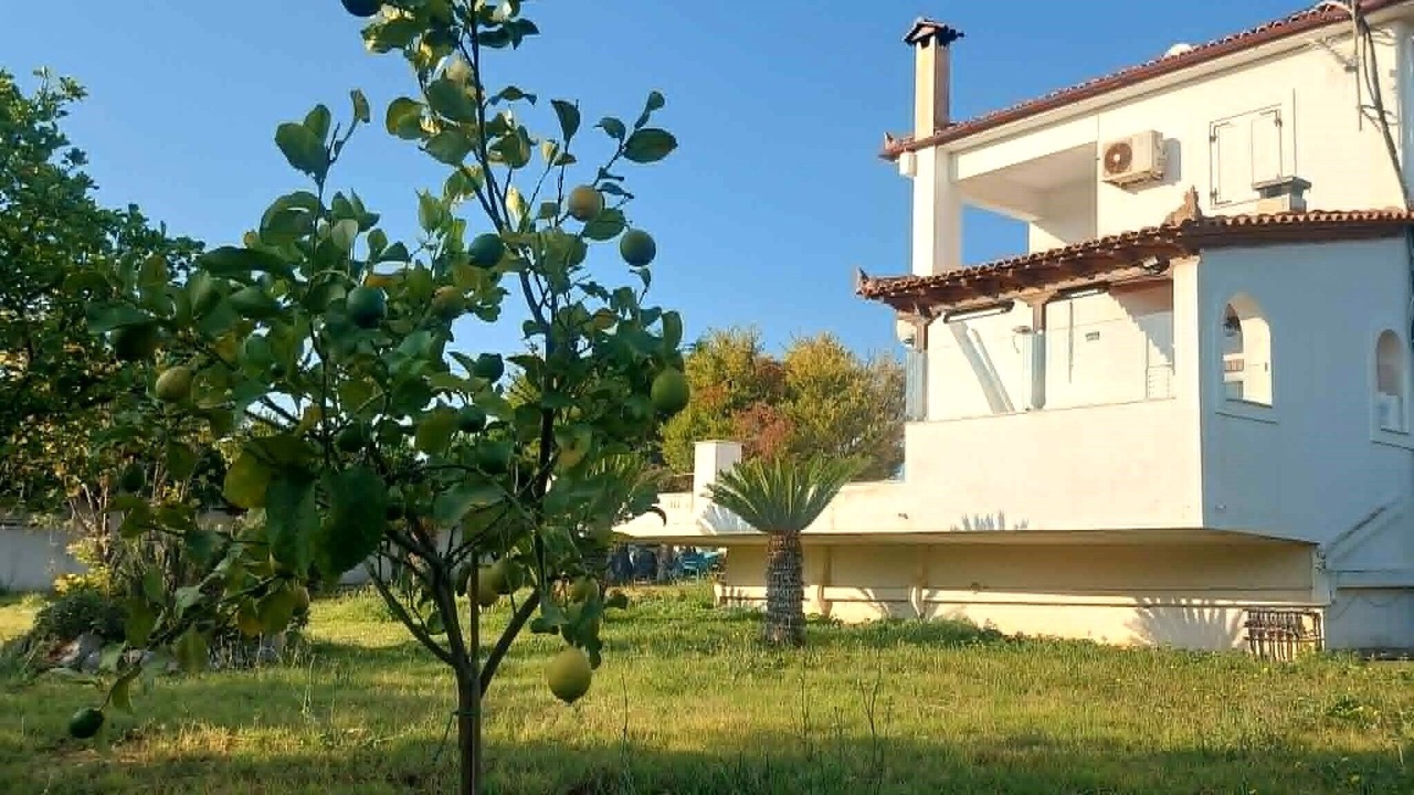 Photo of Outdoor in Kokkoni
