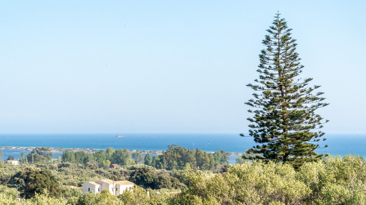 Photo of Others in Dafnata