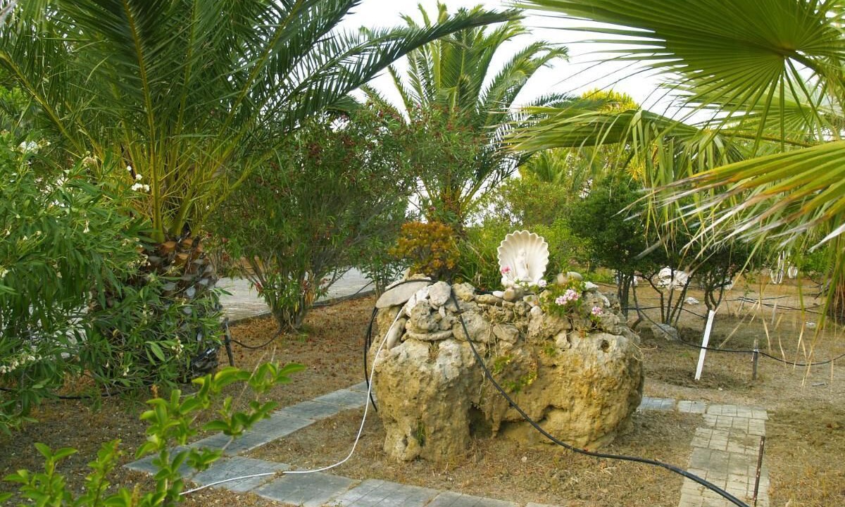 Photo of Outdoor in Kounopetra