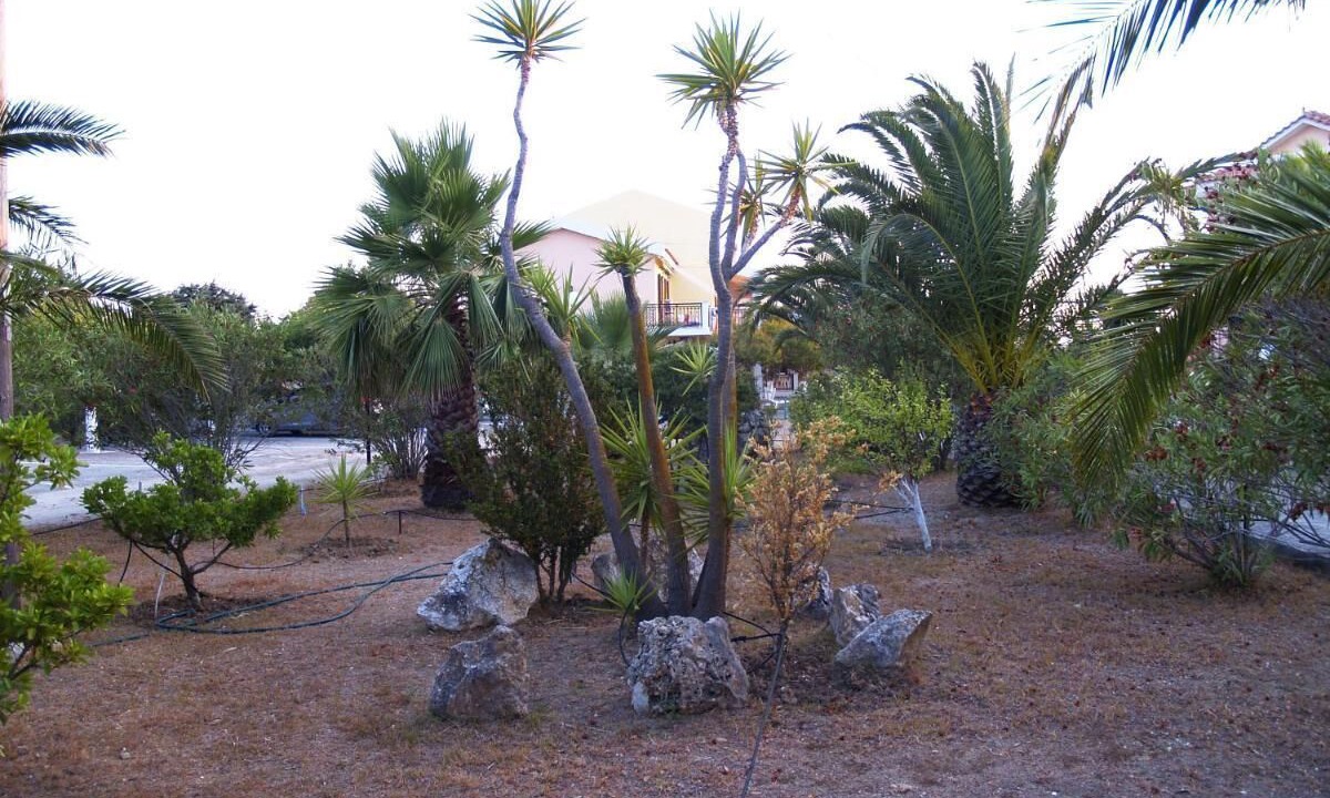 Photo of Outdoor in Kounopetra
