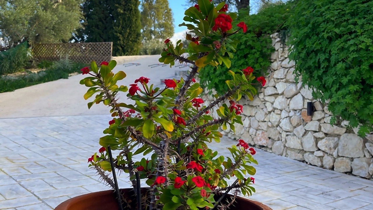 Photo of Outdoor in Katastari