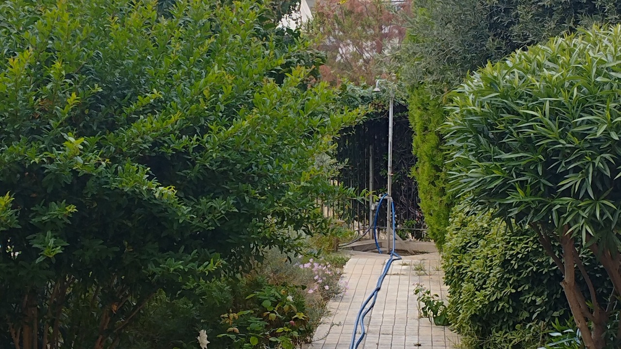 Photo of Outdoor in Paralio Astros