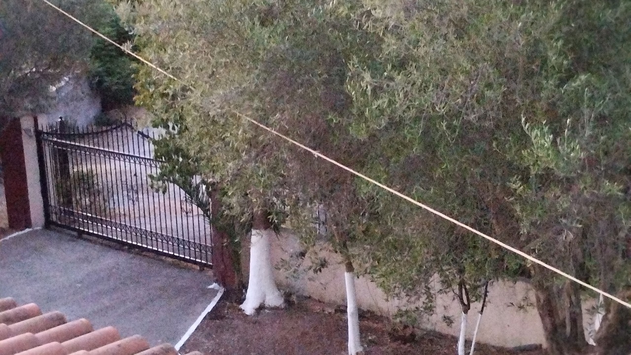 Photo of Outdoor in Messini