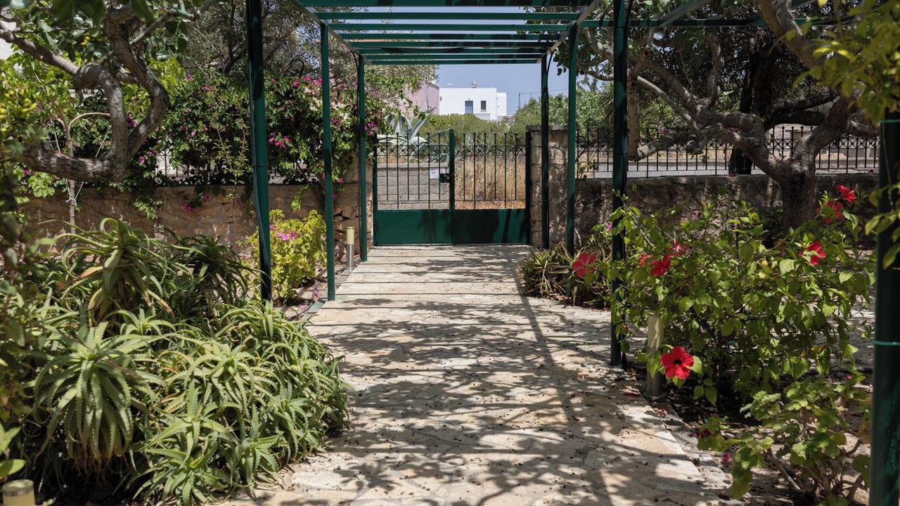 Photo of Outdoor in Aegina Town