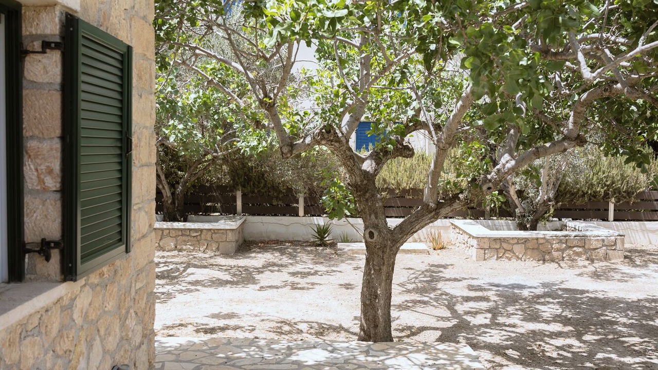 Photo of Outdoor in Aegina Town