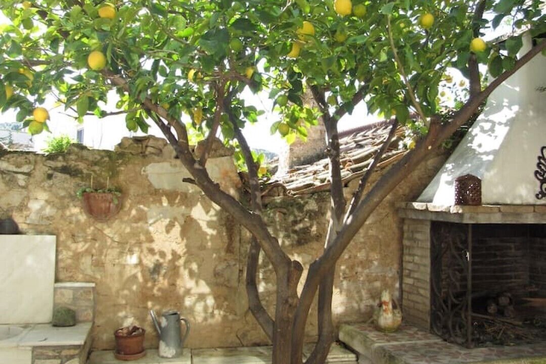 Photo of Outdoor in Paiania