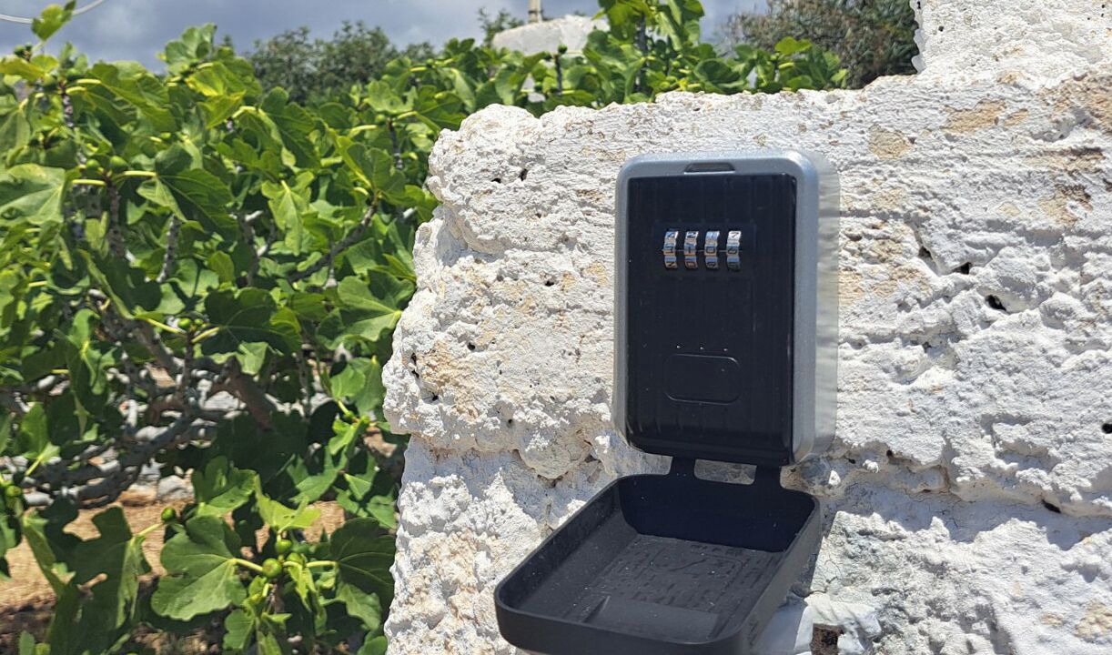 Photo of Others in Naxos