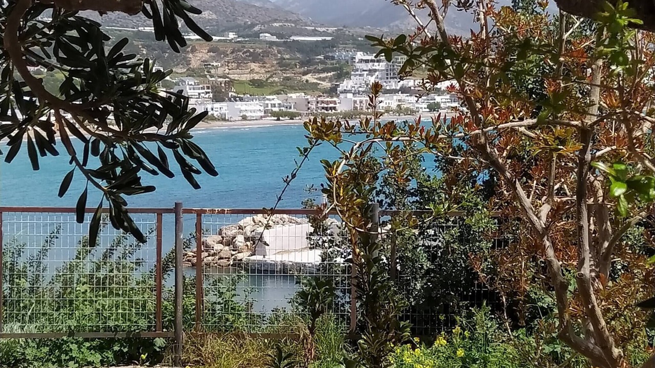 Photo of Outdoor in Pilalimata