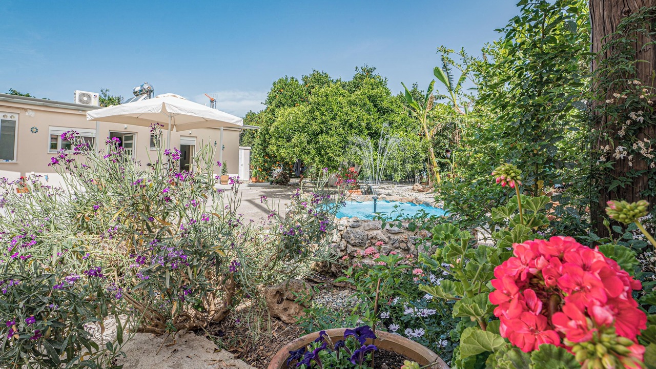 Photo of Outdoor in Agia